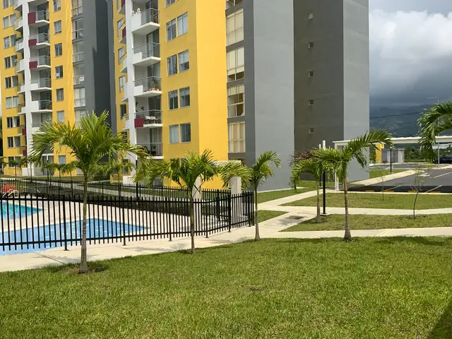 Césped Común